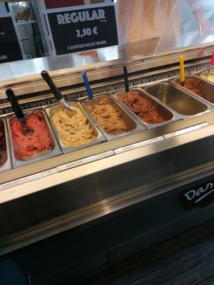 Some of the vegan flavors at Das Eis in Frankfurt