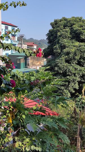  at Lazy Bug - Chay Cao Bang in Cao Bang