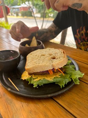 Tofu Teriyaki Sandwich   at Sweet Spot in Puerto Escondido