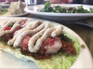 raw food vegan taco at The Wooden Monkey in Halifax