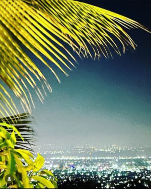  at Kamila's Kitchen in Kingston