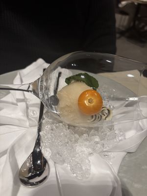 Vegan champagne sorbet - careful, the chocolate spiral it comes with is not vegan   at La Cucina in Soelden