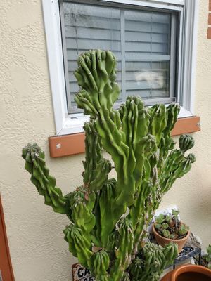 Beautiful surrounding to admire at The Cafe at OM in Spring Hill