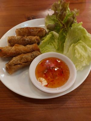 Spring rolls at Vietnamese Restaurant Hoi An - ベトナム料理店ホイアン in Osaka