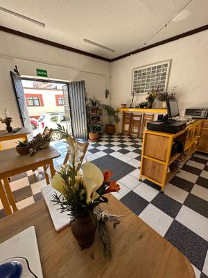 The cafe  at A QUE TE SABE in Oaxaca