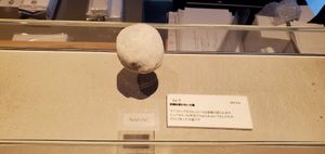 砂糖不使用の特別な和菓子(要予約) #Veganuary at Mochi Takumi Shizuku (Kishiwada Main Store) - 餅匠しづく 岸和田本店 in Osaka