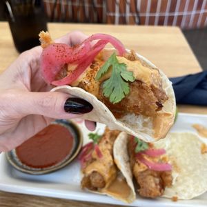   at The Plot in Costa Mesa