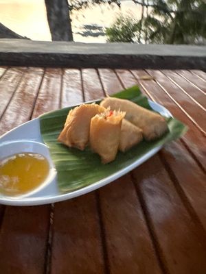 Homemade spring rolls  at Spiral Resort  in Koh Phayam