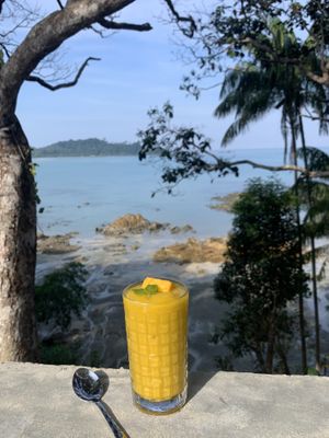 Mango Mint shake with a whole fruit  #Veganuary at Spiral Resort  in Koh Phayam