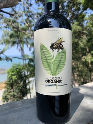 Organic & tasty Vino they have  #Veganuary at Spiral Resort  in Koh Phayam