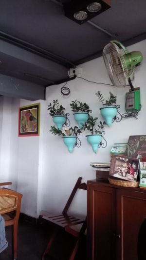 décor at Paradigm Shift Vegan Cafe in Bangalore