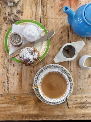 Black Tea, ginger Scone with clotted cream and jam.  at Dr Fox's Tearoom in Weston-super-mare