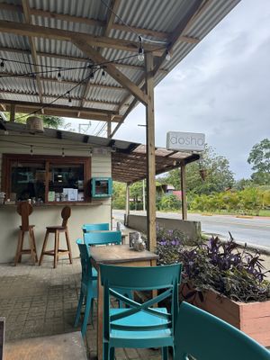   at Dosha  in Bocas Del Toro