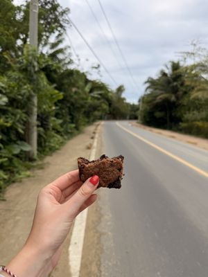   at Dosha  in Bocas Del Toro