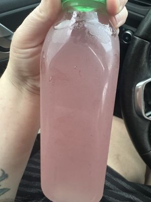   at Mike's Vegan Grill in Charlotte