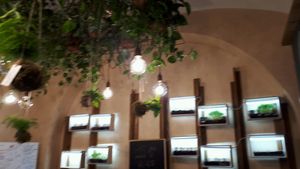 Decor at Fa Bio in Rome