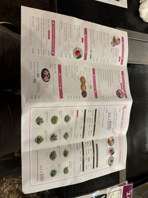 Full Menue  at SAKURA-TEI in Tokyo