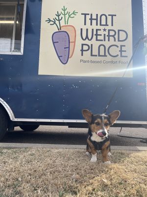 Pet friendly! #Veganuary at That Weird Place in Amarillo