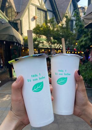   at Tofu Chang in Santiago