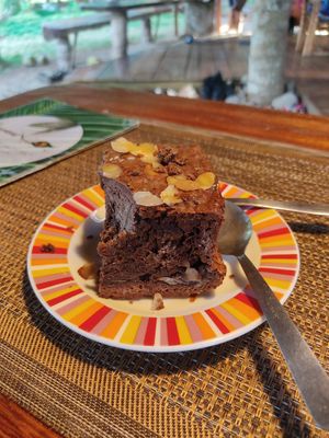 Vegan brownie at KAMIAVAN The Vegetarian Eatery in Corn Islands