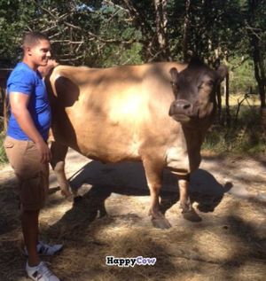 Peanut and a B and B guest. at Velo Bed and Breakfast in Eugene