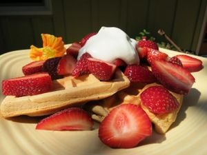 organic waffles with strawberries and coconut whipped cream at Velo Bed and Breakfast in Eugene