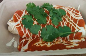 Ripe's Bandito Burrito at Verdine - Food Truck in Houston