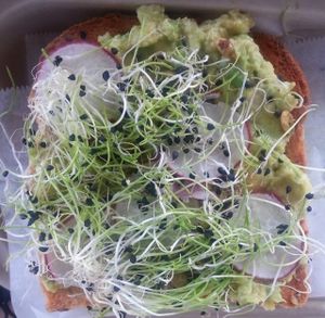 Avocado Toast at Verdine - Food Truck in Houston