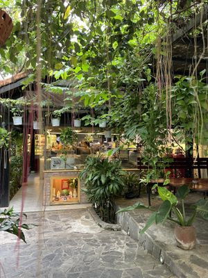   at Avocado Resto & Cafe in Hoi An