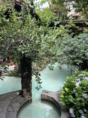 Hidden gem  at Avocado Resto & Cafe in Hoi An