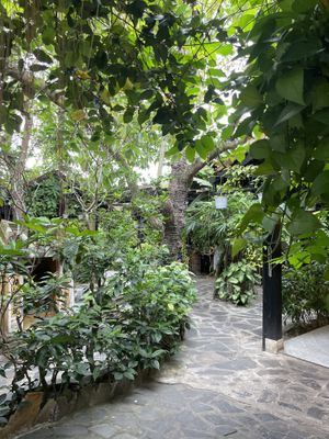   at Avocado Resto & Cafe in Hoi An