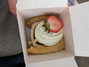  at Cinnamood in Vienna