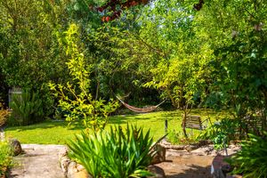 Garden at Cinco Lunas Vegan Conscious Guesthouse in Zahara De La Sierra