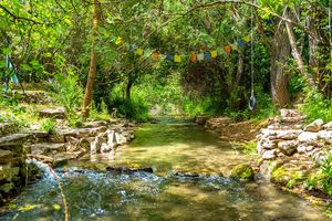 River Bocaleones at Cinco Lunas Vegan Conscious Guesthouse in Zahara De La Sierra
