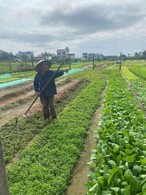  at Faifoo Central Restaurant in Hoi An