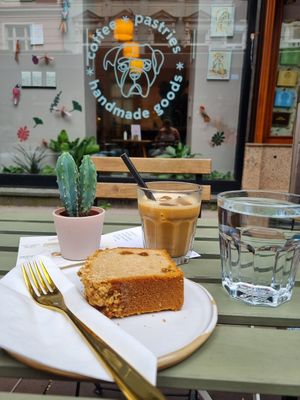  at Das Lazy in Vienna