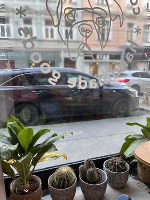   at Das Lazy in Vienna