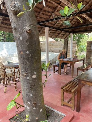   at Soul Bistro in Varkala