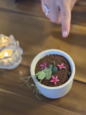   at Lotus Noodle Bar in St Augustine