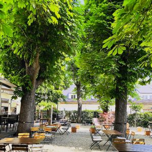 Garden at Neuland in Vienna