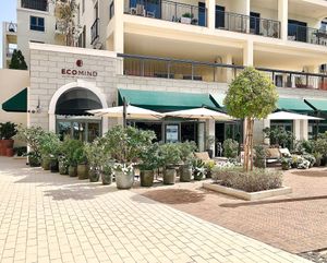 The venue at Eco Mind Cafe in Dubai