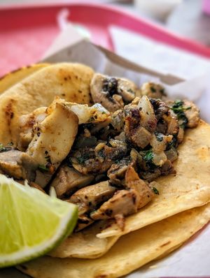 Vegetarian tacos at Guacamole Station in Dania Beach