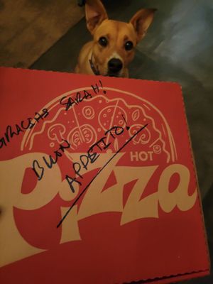  at Pizza Per Voi  in Alajuela