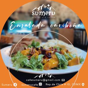 Ensalada frescas con jamón y milanesa vegana. ¡Ideal para mantener en equilibrio la salud! at Sumeru in Mexico City