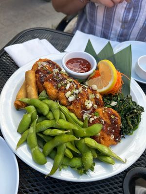 Vegan veggie platter (edamame, spring rolls, croquettes and sweet chilli sauce) at Kawakubo in Revelstoke
