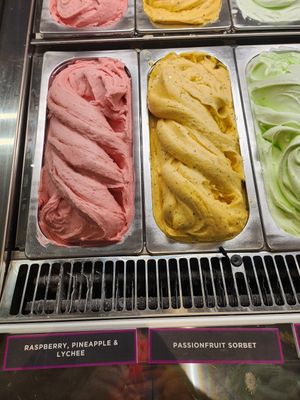  at Augustus Gelatery in Bendigo