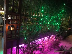 Banana Leaf Kovalam at night. at Banana Leaf Restaurant Kovalam in Kovalam