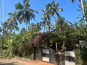Near our restaurant. at Banana Leaf Restaurant Kovalam in Kovalam