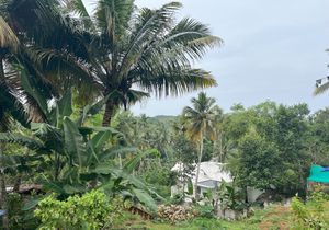 Nearby at Banana Leaf Restaurant Kovalam in Kovalam