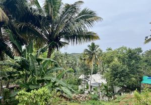  at Banana Leaf Restaurant Kovalam in Kovalam